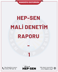 Hep-Sen Mali Denetim Raporu - 1